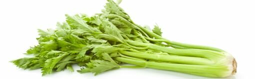 celeri